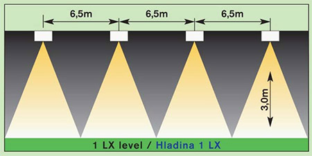 Distribution