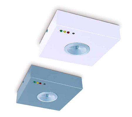 Surface mounted LED emergency luminaire